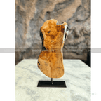 Natural Edge Irregular Root Sculpture ( Cedar Wood )