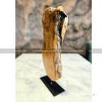 Natural Edge Irregular Root Sculpture ( Cedar Wood )