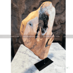 Natural Edge Irregular Root Sculpture ( Cedar Wood )